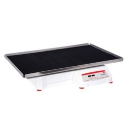 Agitateur à bascule...