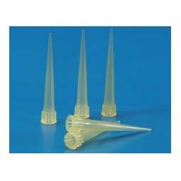 Pointe  Kartell  /  1000