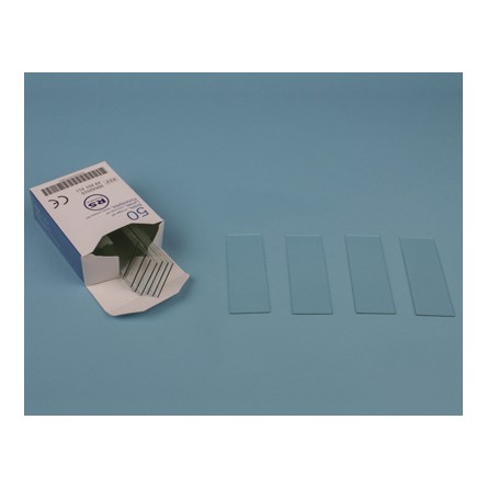 Lame porte objets 76 x 26 mm bords bruts / 50