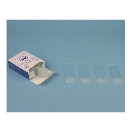 Lame porte objets  76 x 26 mm bords bruts /50