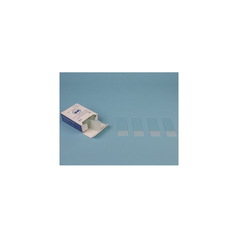 Lame porte objets  76 x 26 mm bords bruts /50