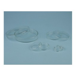 Boîte de Pétri en verre...