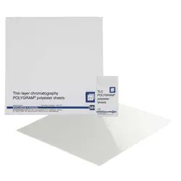 Plaque CCM support...