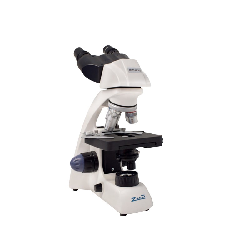 Microscope binoculaire, série E