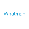 Whatman